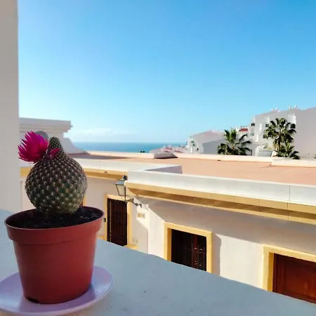 Apartment Windsor Park Atlantic View Costa Adeje (Tenerife)